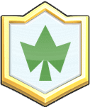 TerniNord badge